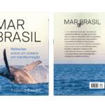 Livro “Mar Brasil”, de Frederico Brandini, busca aproximar a sociedade do oceano  