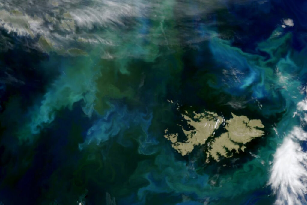 Turbilhões de fitoplâncton com tons de azul e verde na costa da Patagônia, registrados pelo satélite PACE da NASA