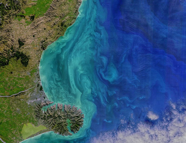 Swirls turquesa de fitoplâncton na costa da Nova Zelândia, causados por coccolitóforos e visíveis por satélite