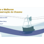 Abertas as inscrições para a Escola de Verão ReNOMO 2025