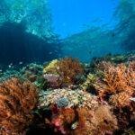 INPO apresentará a exposição ‘Oceano: o maior mistério da Terra’ na 22ª Semana Nacional de Ciência e Tecnologia, em Brasília 