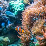 Novo relatório da ONU alerta para crise profunda nos oceanos e aceleração das mudanças climáticas