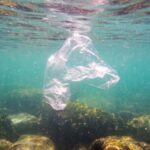 Dos oceanos à cadeia alimentar: microplásticos desafiam a ciência